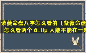 紫薇命盘八字怎么看的（紫薇命盘怎么看两个 🌵 人能不能在一起）